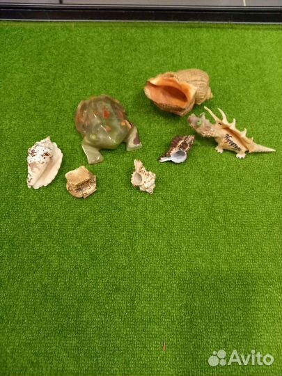 Для аквариума