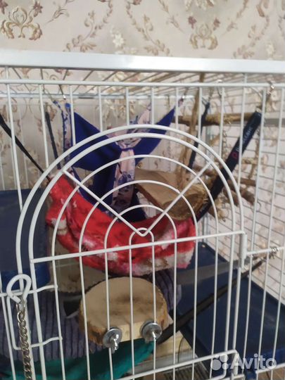 Клетка для грызунов большая