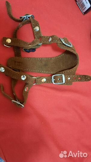 Шлейка для маленькой собаки и держатель