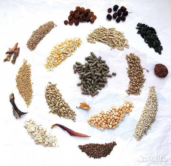 Корм для шиншилл и других грызунов