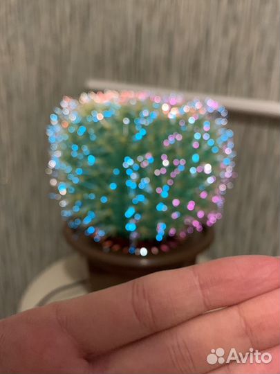 Светильник