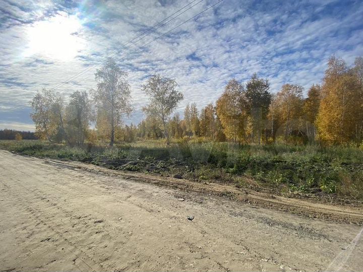 Участок 15,1 сот. (СНТ, ДНП)