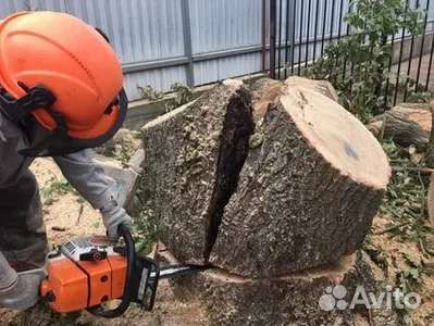 Спил деревьев, расчистка участков, демонтаж