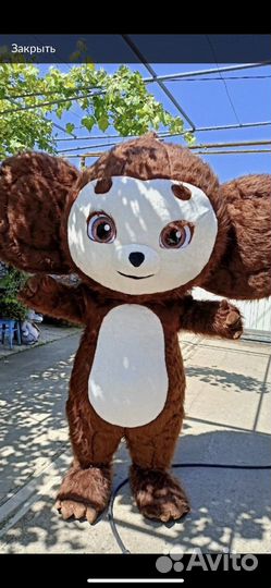 Аэро костюм 2 метра,ростовые куклы