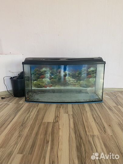 Аквариум