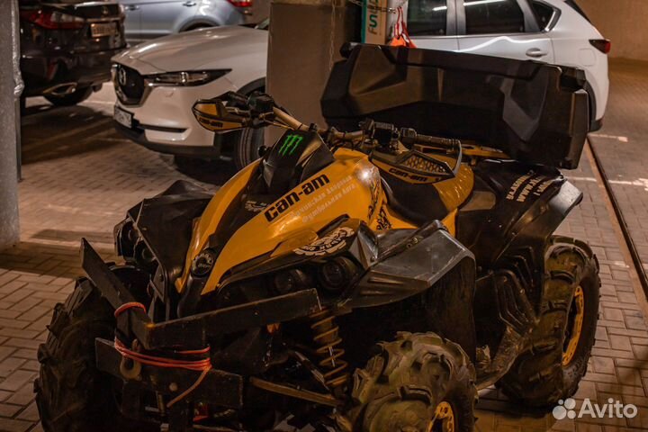 Brp