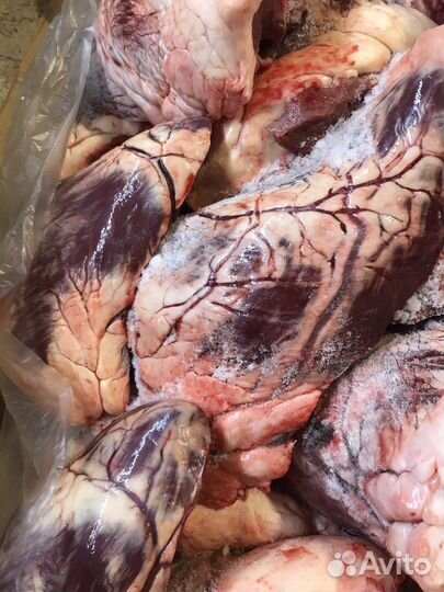 Мясо для собак