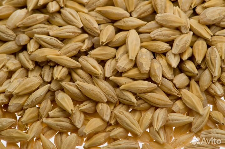 Дробленка ячменная (комбикорм)