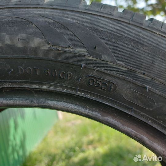 Nokian Tyres Nordman SX2 205/55 R16 91H