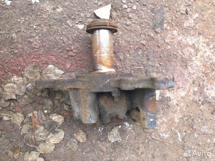 Поворотный кулак Man Neoplan