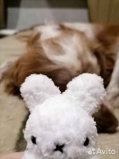 Мягкий зайчик Miffy