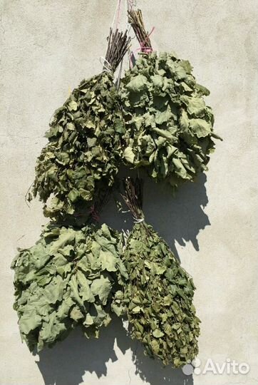 Веники банные