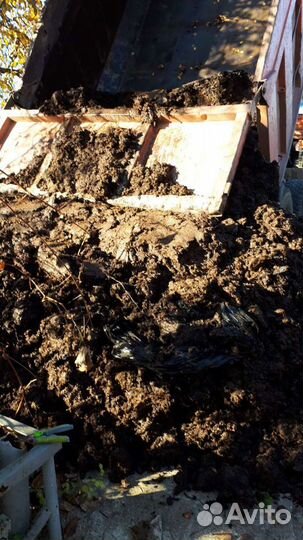 Навоз на огород коровий