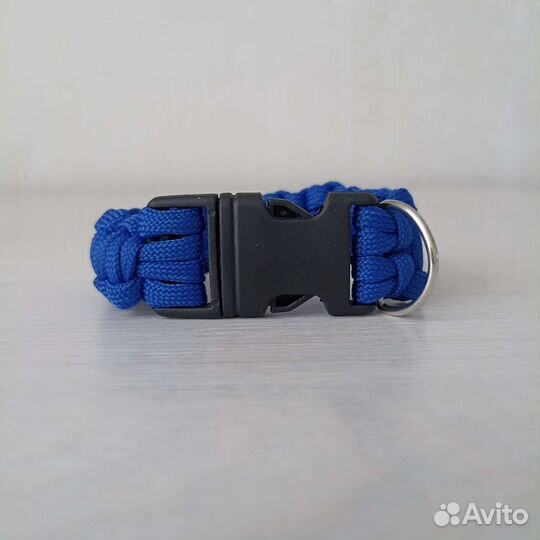 Ошейник для котят
