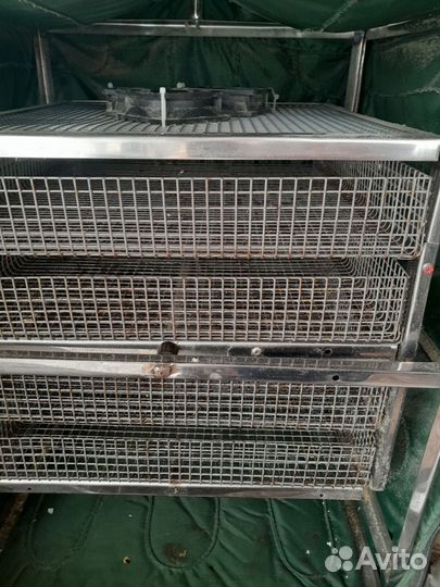 Инкубатор для яиц