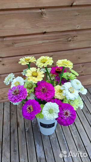 Букет на первое сентября