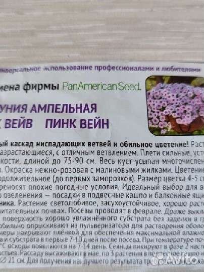 Петуния ампельная и каскадная