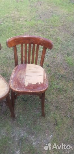 Стул венский Лигна