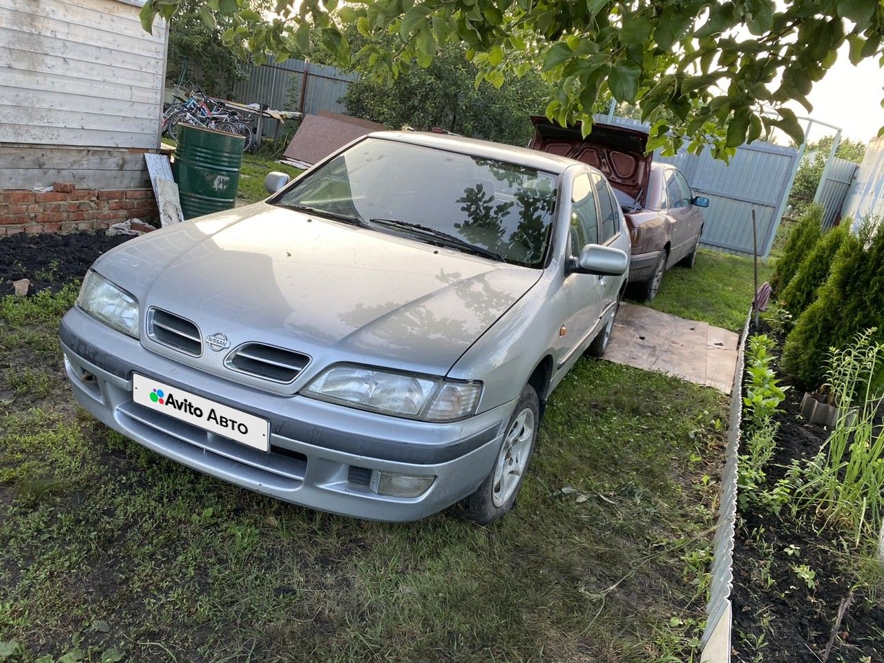 Nissan Primera: фото владельца