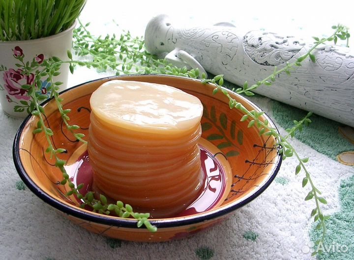 Чайный гриб