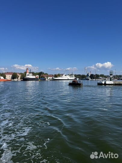 Балтийская и Куршская коса за один день