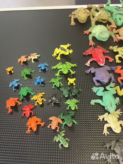 Лягушки коллекция