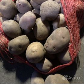 Картошка едовая