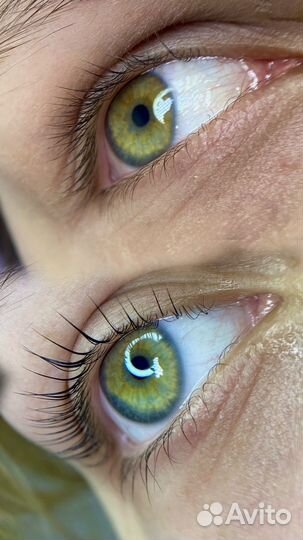 Наращивание/ламинирование ресниц/ брови/ обучение