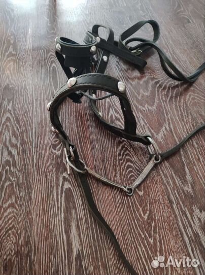 Сбруя узда для лошади