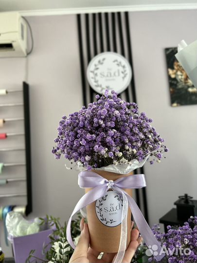 Гипсофила в стаканчике