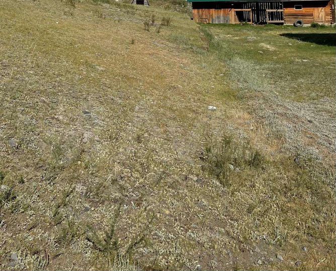 Участок 14,5 сот. (ИЖС)