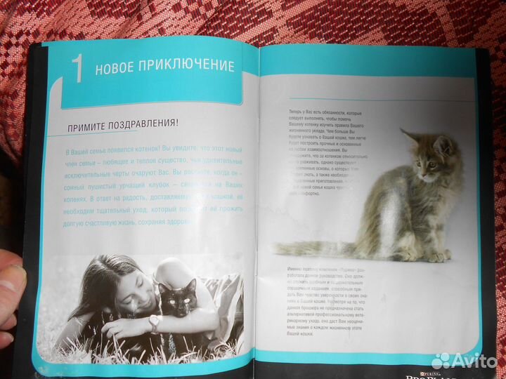 Purina Pro Plan Руководство По уходу за Котёнком