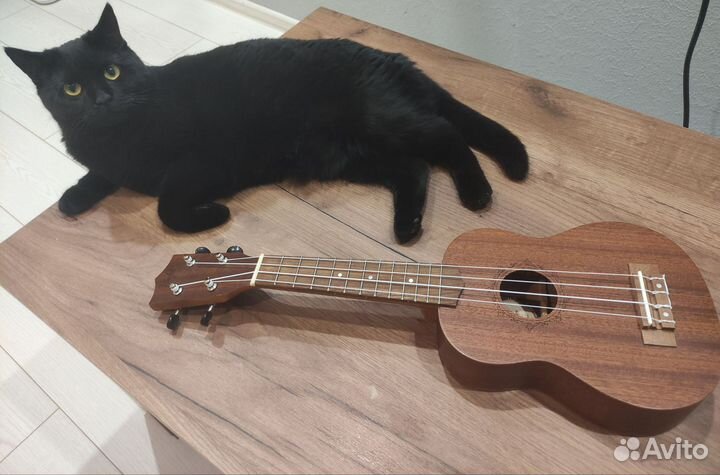 Укулеле flight