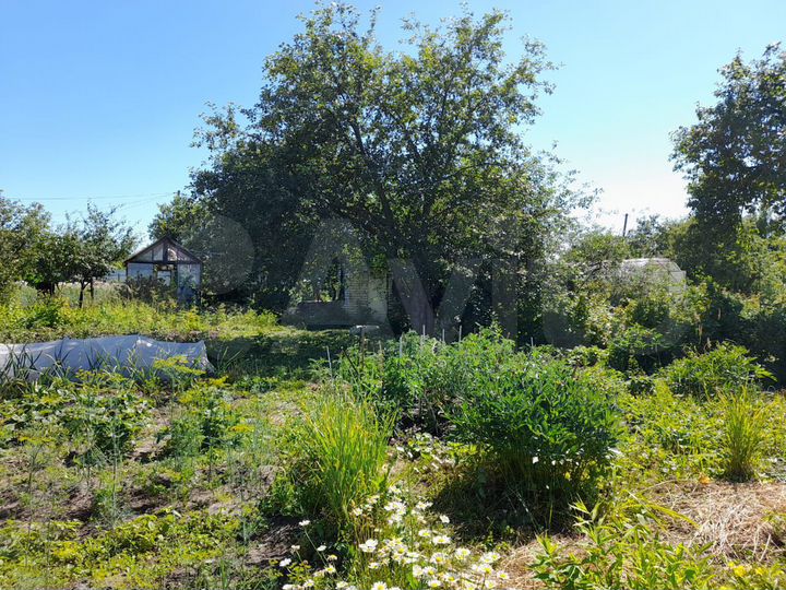 Дача 12 м² на участке 6,37 га