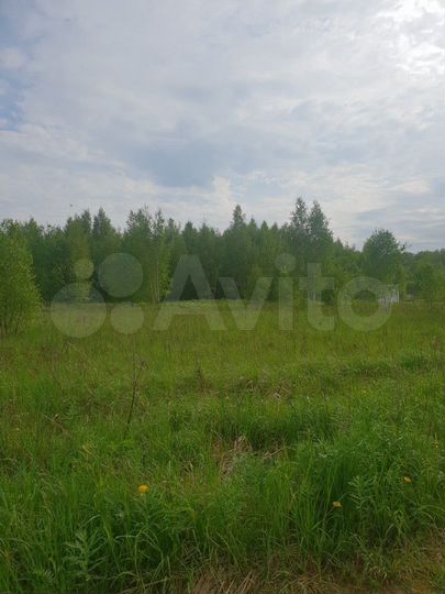 Участок 20 сот. (СНТ, ДНП)