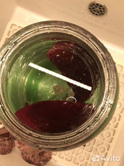 Искусственные растения для аквариума