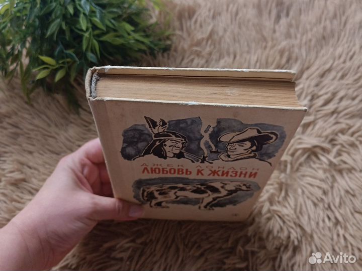 Книга Любовь к жизни Джек Лондон