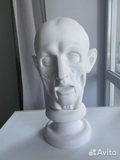 Голова гипсовая