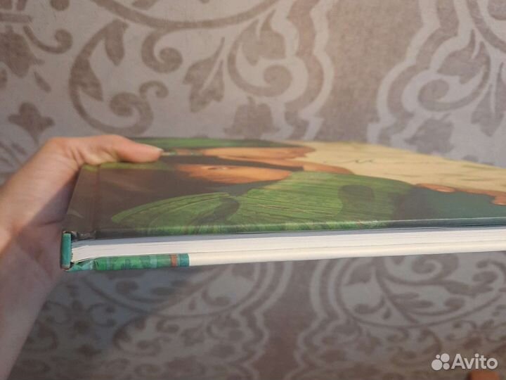 Книга Мама Элен Дельфорж Поляндрия