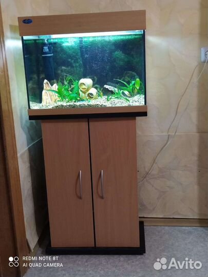 Аквариум