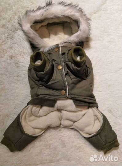 Одежда для маленьких собак