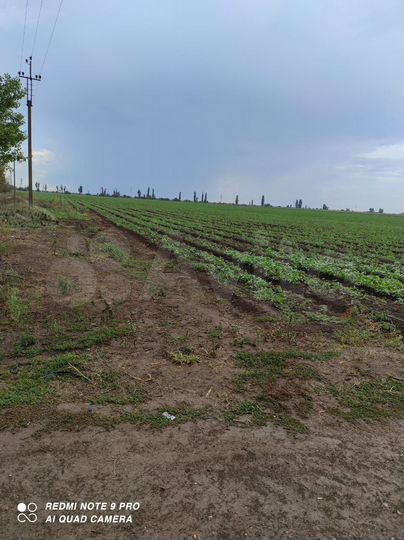 Участок 13 га (СНТ, ДНП)