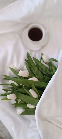 Квартира-студия, 30 м², 1/10 эт.