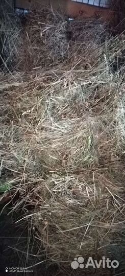 Сено в брикетах