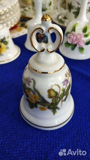 Колокольчик Ботаника Western Германия