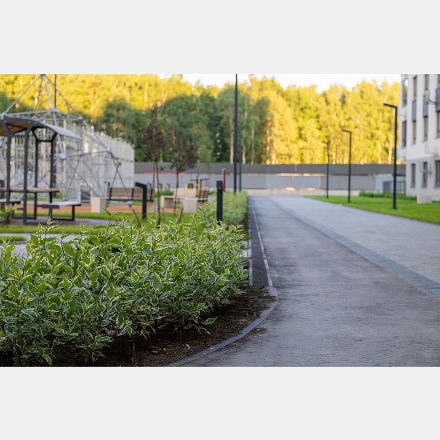 3-к. квартира, 69 м², 5/9 эт.