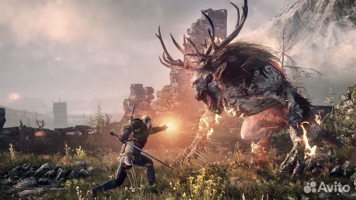 The Witcher 3 Wild Hunt+DLC Steam