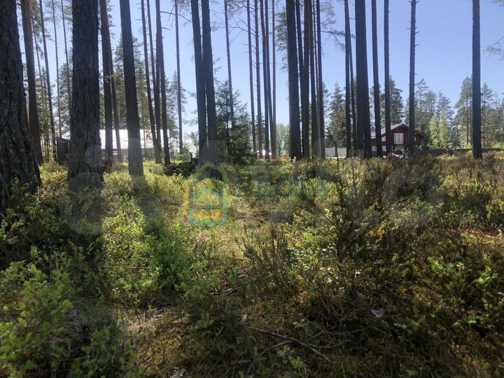 Участок 7,4 сот. (ИЖС)