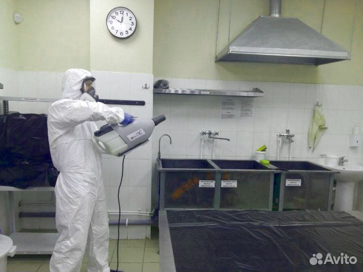 Уничтожение клопов, тараканов и вирусов, клещей