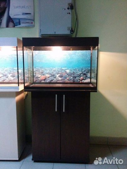 Аквариум 100 новый,биофильтр, фон, свет, тумба